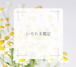 4885c8bf-0a11-495c-aea6-fb5206e74508